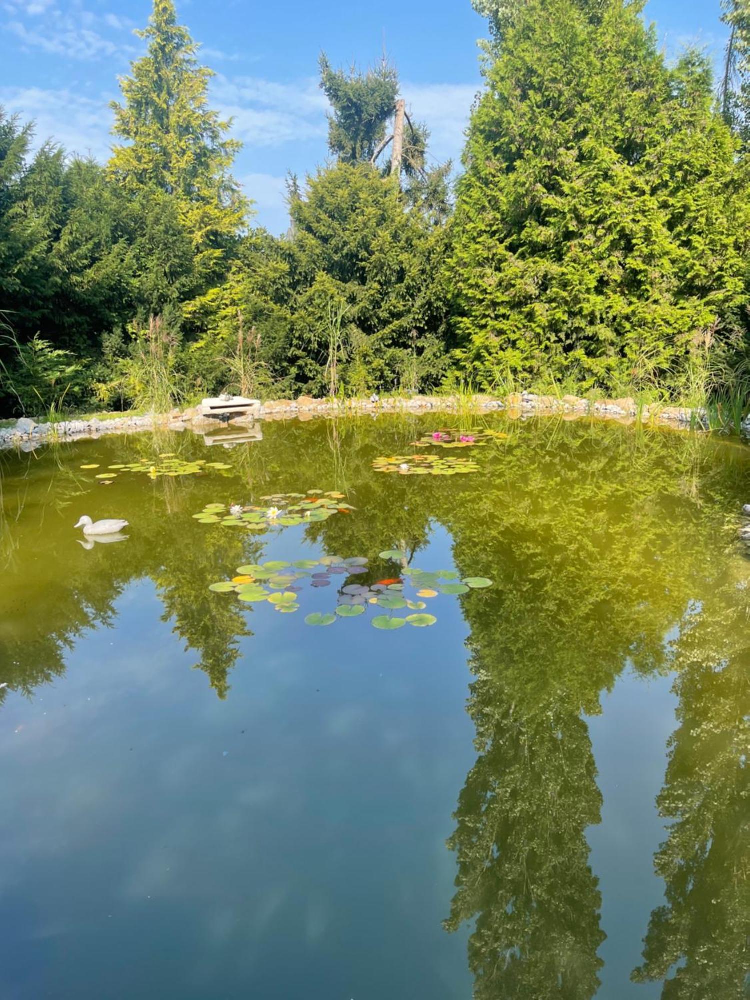 Moderne, Ruhige Ferienwohnung , Ideal Zum Abschalten Hadamar Esterno foto